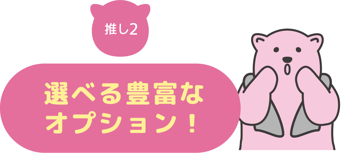オプション①